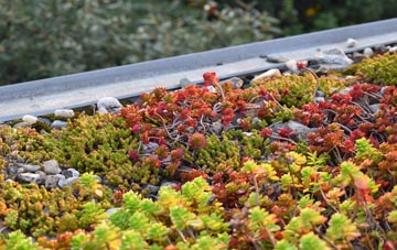 the cost of Charvil green roof installation